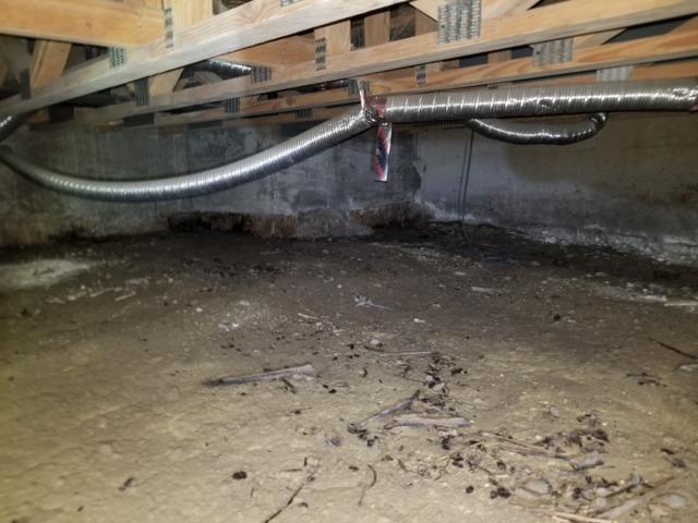 Before Crawl Space Remediation