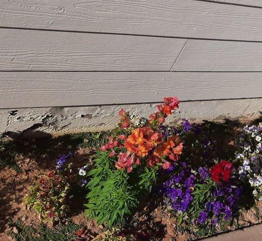 Flaking Paint on Stem Wall Down in Gilbert, AZ