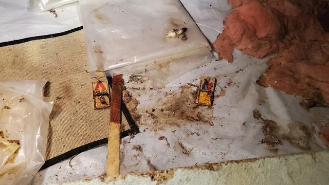 Pests Like Crawl Spaces