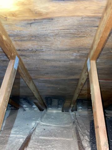 Mold in Attic in Minneapolis, MN