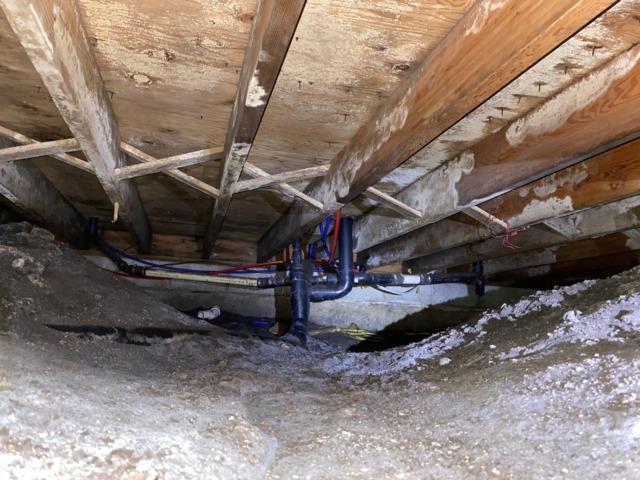 Mold in Dirt Crawl Space Beneath Cabin
