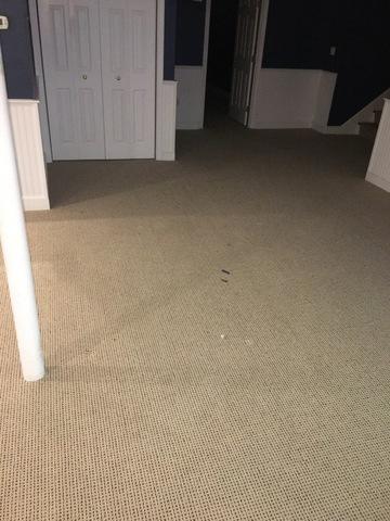 image.jpeg