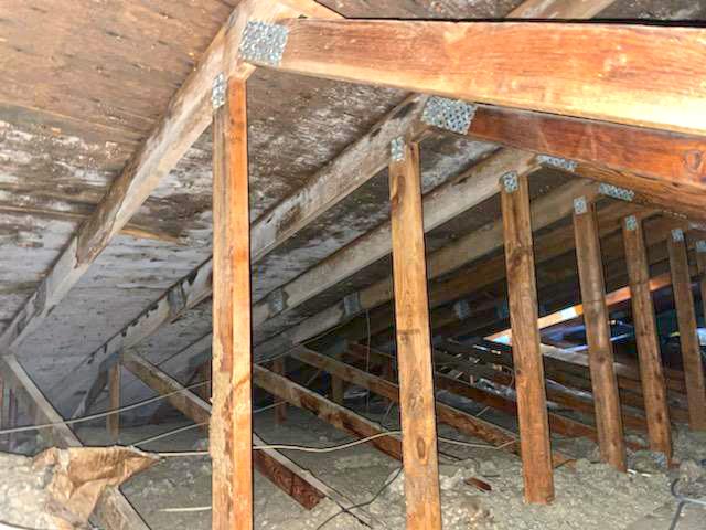 All Over the Rafters