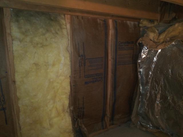 Damaged and Moldy Insulation