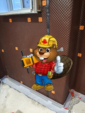 WaterGuard Drainage System