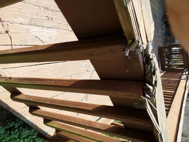 Rotted wood