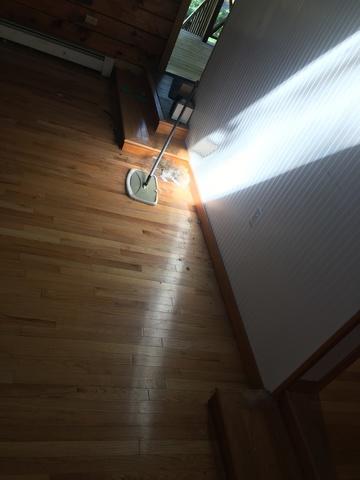 image.jpeg