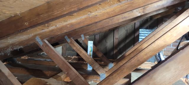 Attic after insulation removal