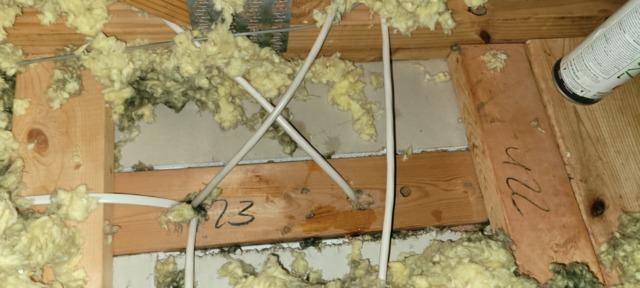 Moldy insulation