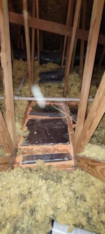 Damaged insulation