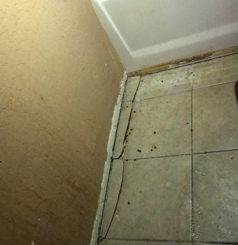 Interior Tile Cracks