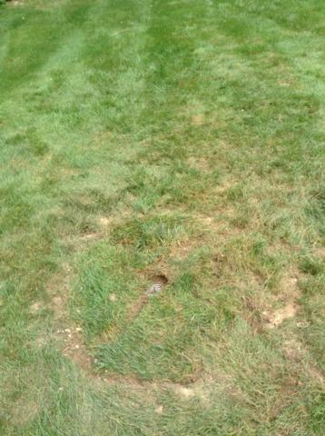 Water Moved Away From Foundation