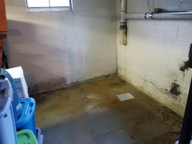 Damp Basement Before