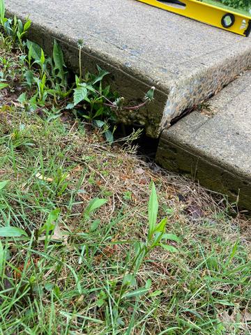 Measuring the sinking sidewalk