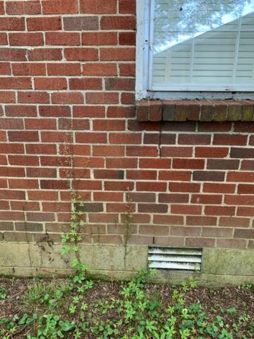 Even more cracks