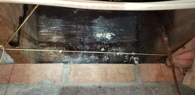 Mold and Rotting Wood