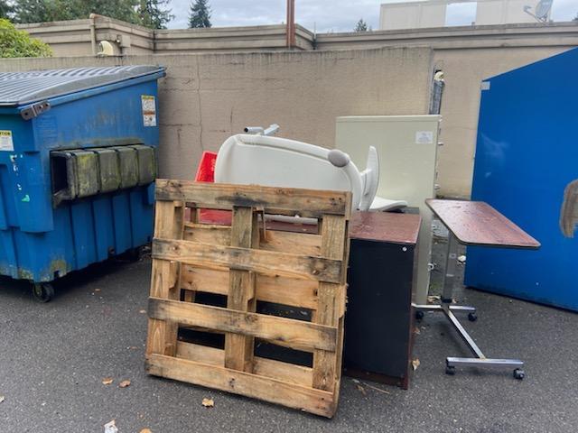 Junk Removal Service: Items to be removed