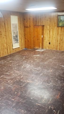 Before Photo 1