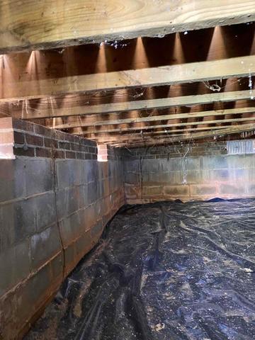 Moldy Crawl Space Joists