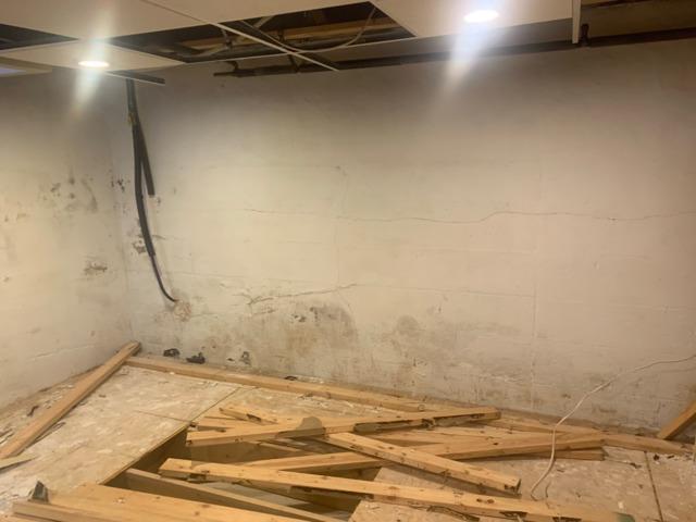 Mold in a basement can cause health problems for familys. On this wall, mold covered the base of the foundation caused by water coming through the cracks.