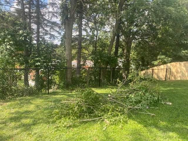 4' Black Chain Link Fence (2) 4' Gates