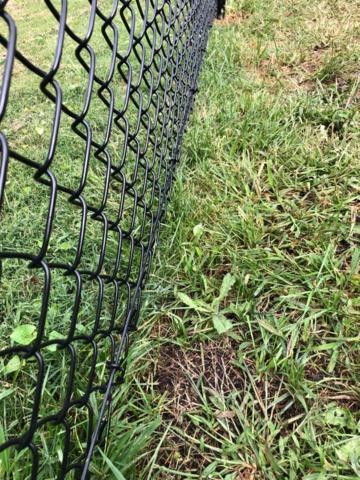 4' Black Chain Link (1) 6' double gate