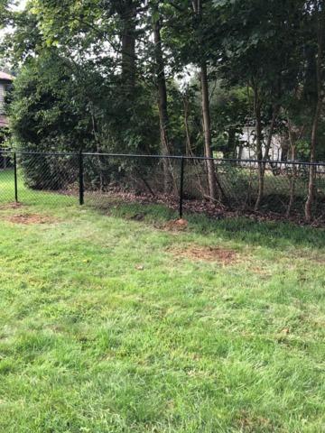 4' Black Chain Link (1) 6' double gate