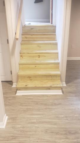 The Finished Basement