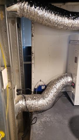 The SaniDry Dehumidifier