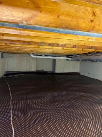 Insulation Removed and Drainage Matting Laid Down