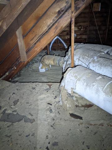 Unsealed ducts in attic in Bloomington, IL