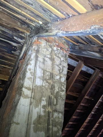 Attic insulation in Bloomington IL