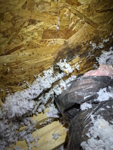 Result of moisture in poorly sealed attic in Dunlap, IL