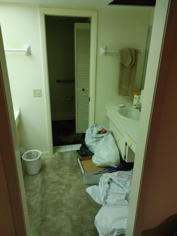 Master Bathroom Before