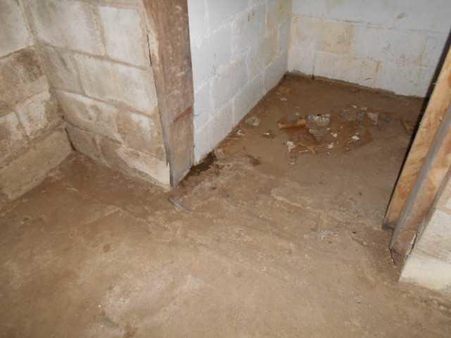 One of the symptoms to look for is condensation on the wall and water build-up where the floor and wall meet, as shown.