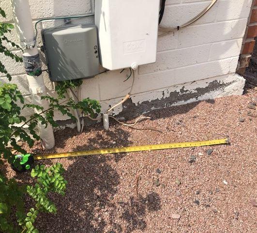 Symptoms of Stem Wall Failure: Flaking Paint