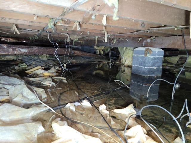 Dirty Crawl Space
