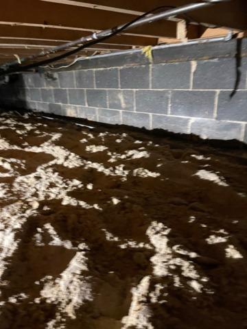 Damp Crawl Space