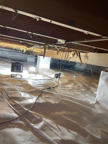 CleanSpace is installed and will protect the crawl space from moisture and humidity!