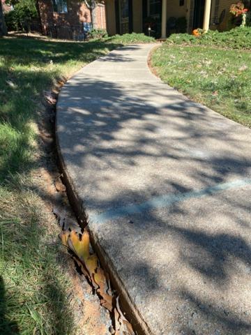 Restored and Sealed Concrete Walkway