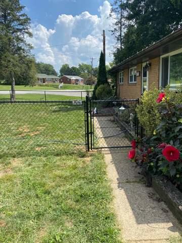 4' Black Chain Link Fence (1) 4' gate installation