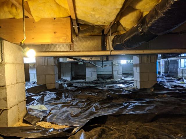 Before Encapsulating Bridgeville, DE Crawl Space