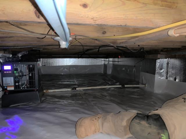Wall Insulation