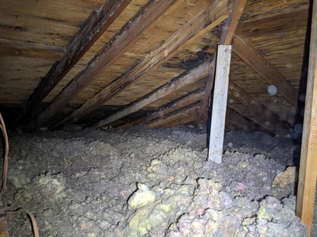 Mold in attic in Germantown Hills IL