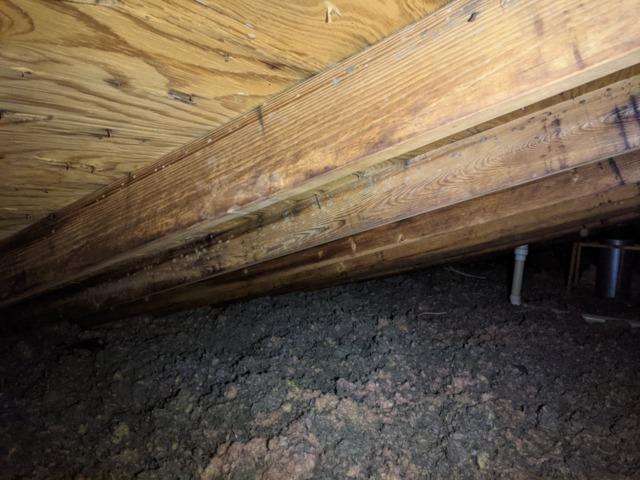 Mold and dirty insulation in attic in Germantown Hills IL