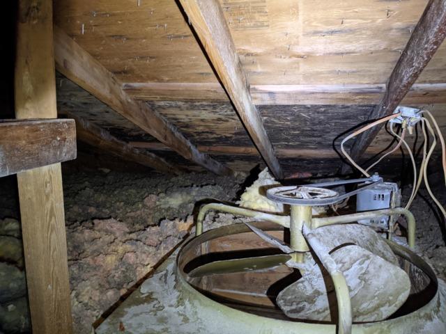 Mold above and around house fan in attic in Germantown Hills IL
