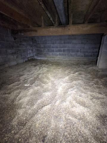Mold growth in crawlspace in Germantown Hills