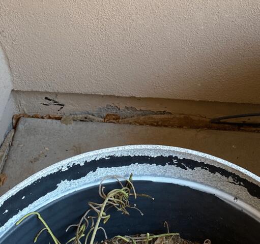 Flaking Paint on Stem Wall in Scottsdale, AZ 10.17.2021