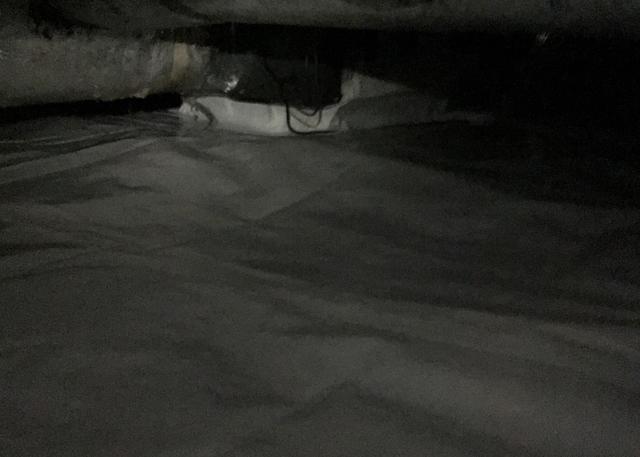 Antimicrobial liner