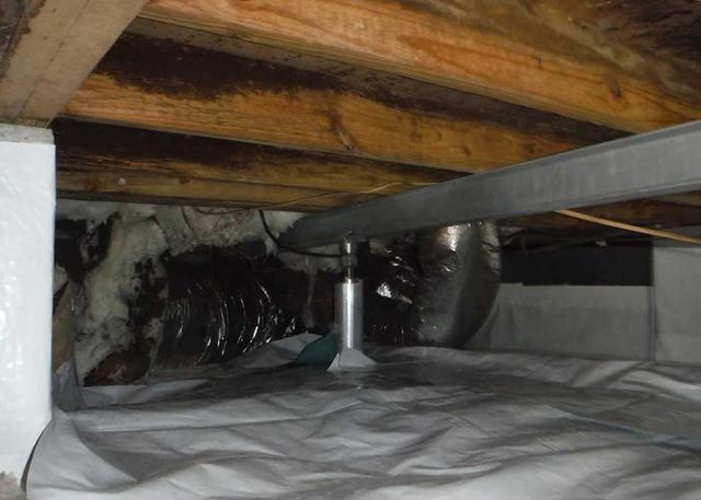 No more mold and mildew